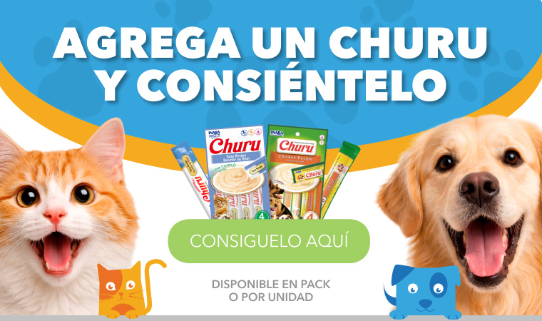 Churu